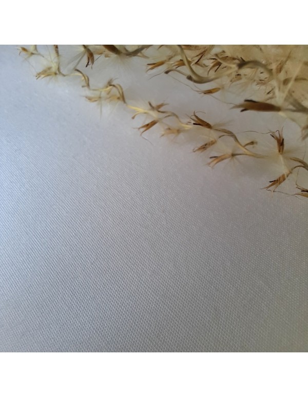 Popeline de coton, Cranberry, Blanc optique