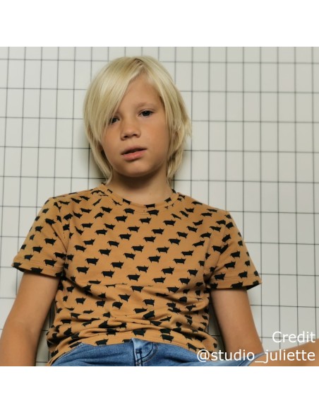 French Terry de coton Cranberry, Bull, marron pâle