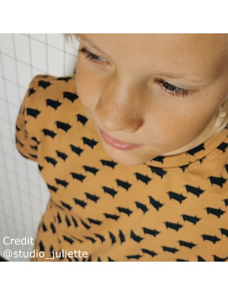 French Terry de coton Cranberry, Bull, marron pâle